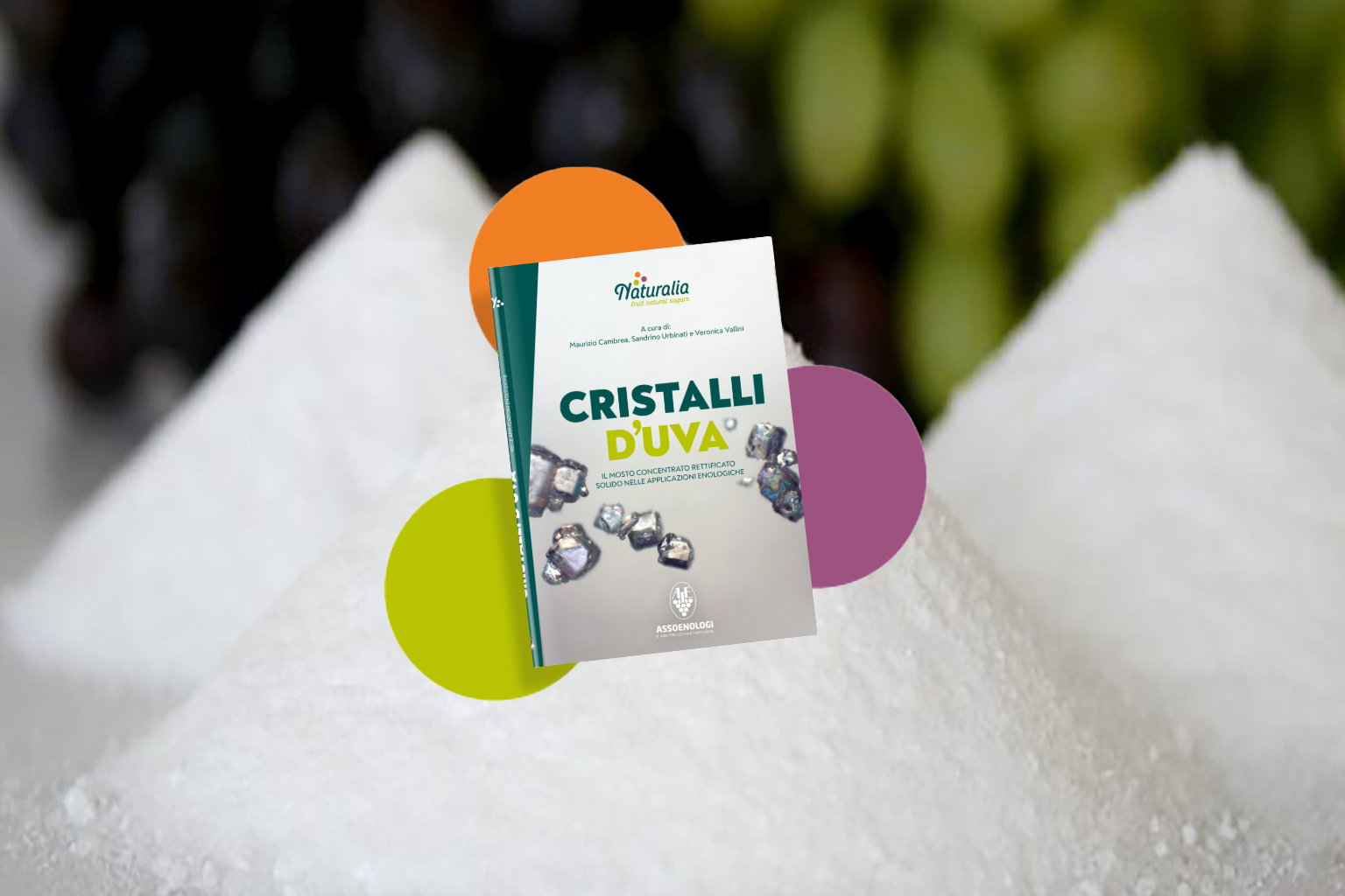 “CRISTALLI D’UVA” – Il Mosto Concentrato Rettificato Solido nelle applicazioni enologiche